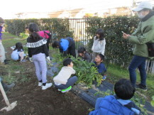 みなみすげ農園